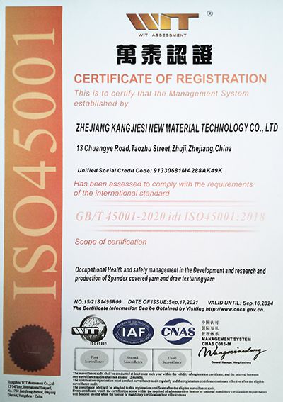 ISO45001